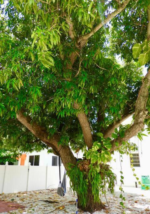 Comfy & Updated Apartment Centrally Located Minutes Away From Everything! Miami Exterior foto